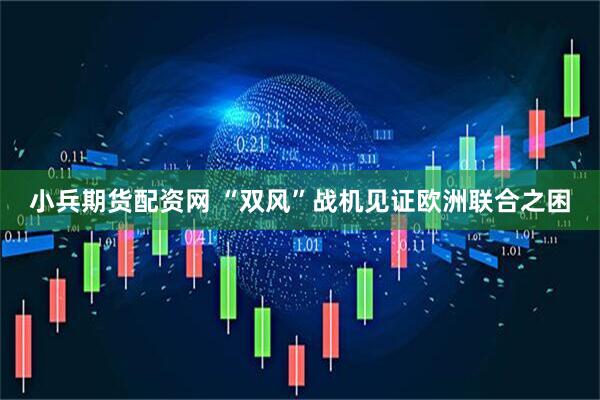 小兵期货配资网 “双风”战机见证欧洲联合之困