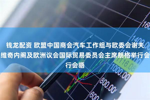 钱龙配资 欧盟中国商会汽车工作组与欧委会谢夫乔维奇内阁及欧洲议会国际贸易委员会主席朗格举行会晤