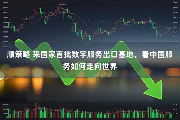 顺策略 来国家首批数字服务出口基地，看中国服务如何走向世界