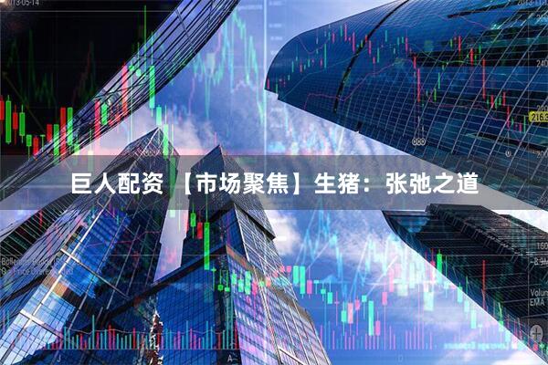 巨人配资 【市场聚焦】生猪：张弛之道
